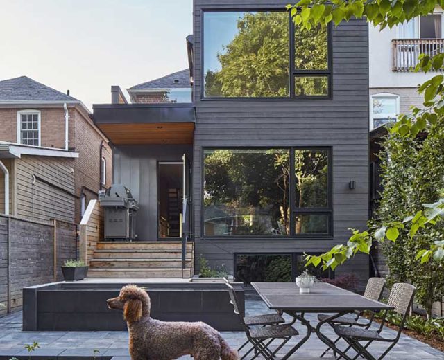 alt="Asquith-Architecture-North-Toronto-Addition-Brookdale-dog-in-the-backyard"